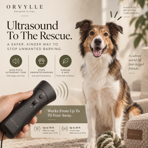 ORVYLLE Guard - Ultrasound To The Rescue